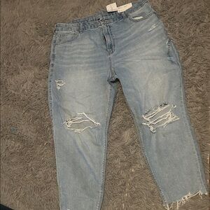 American Eagle Curvy Mom Jean NWT Plus size 20